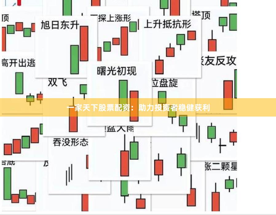 一家天下股票配资：助力投资者稳健获利