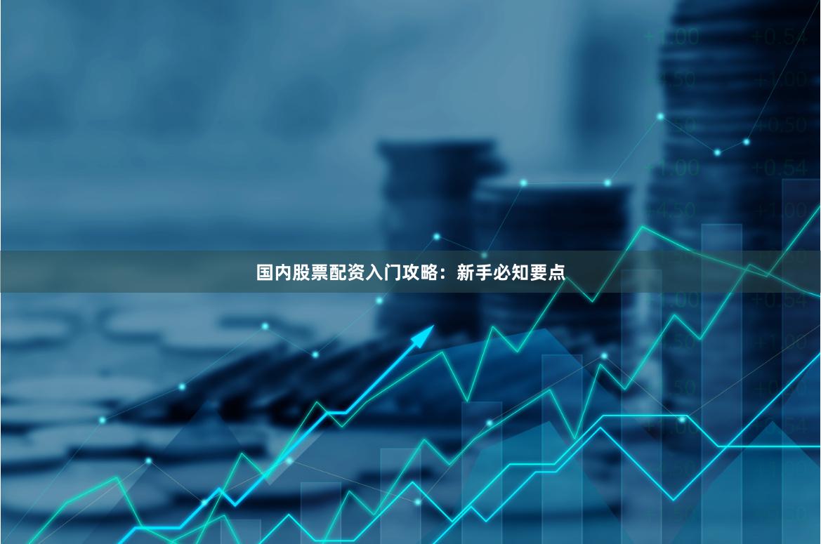 国内股票配资入门攻略：新手必知要点
